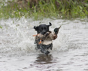 20080531-HRW-0507.jpg