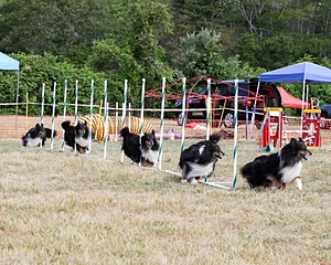 20150614-CCKCMC-0004.jpg