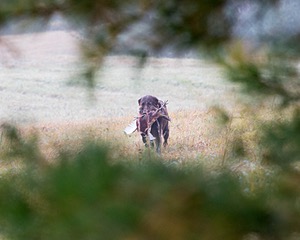 20161008-WCXL-0013.jpg