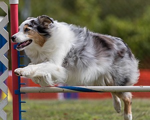 20200819-1109.jpg
