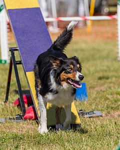 20180617-0300.jpg