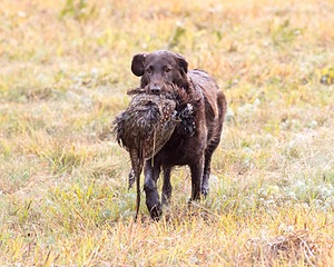 20161008-WCXL-0030.jpg