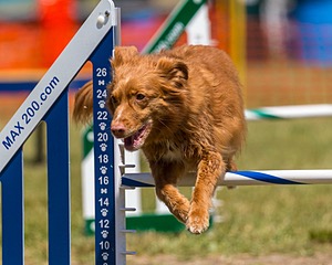 20180617-1430.jpg