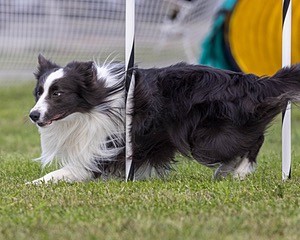 20230917-PVKC-2765.jpg