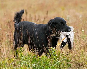 20141004-WCL-0014.jpg