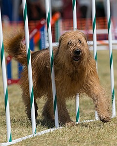 20150614-CCKC-1770.jpg