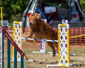 20160619-CCKC-1373.jpg