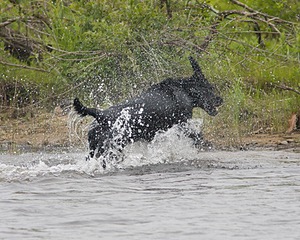 20080531-HRW-0852.jpg