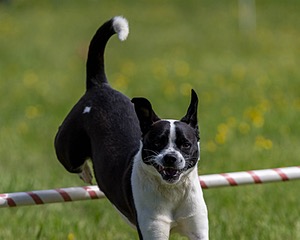 20170521-NEAT-0346.jpg