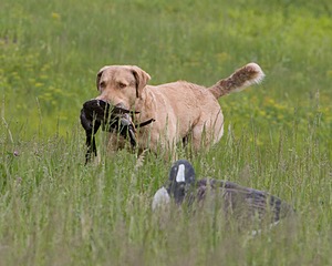 20080531-HRL-0005.jpg