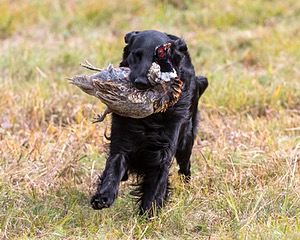 20161008-WCL-0019.jpg