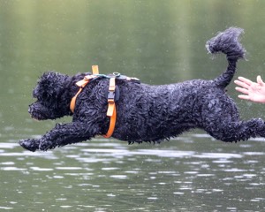 Rio Abbruzzese