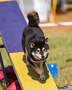 20180617-0095.jpg