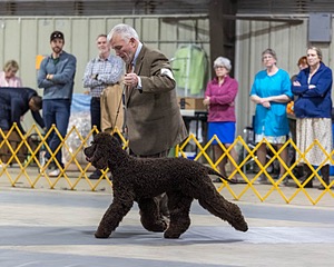 20260228-0216.jpg