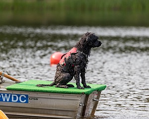20210912-WWD-0156.jpg