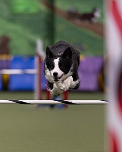 20260221-0145.jpg