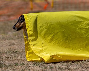 20160619-CCKC-1571.jpg