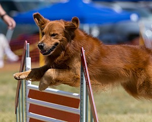 20150613-CCKC-0088.jpg