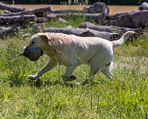 20210606-SEAL-1508.jpg