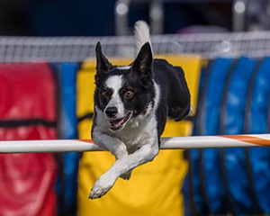 20230916-PVKC-1470.jpg