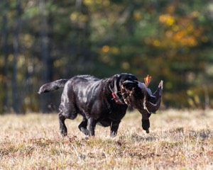 20201011-VetL-0116.jpg