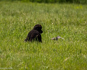20220613-WD-0219.jpg