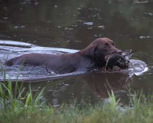 20130713-MHB2-0365.jpg
