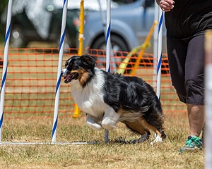 20160619-CCKC-1014.jpg