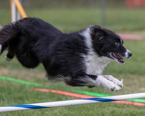 20200819-1894.jpg