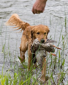 20080531-HRW-0306.jpg