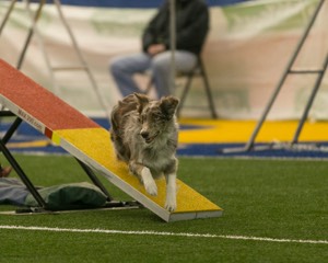 20150321-LEAP-0796.jpg