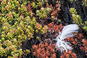 20191212-0064.jpg