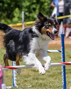 20180616-0750.jpg