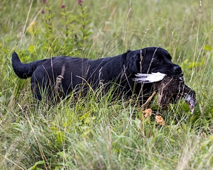20230805-SHL-0336.jpg