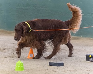 20260718-NSKC-0711.jpg