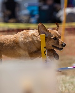 20160618-CCKC-1495.jpg