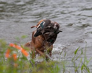 20080531-HRW-0218.jpg