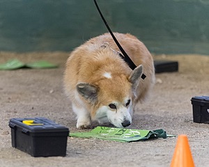 20260718-NSKC-0687.jpg