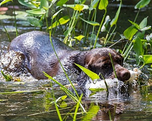 20160717-PWW-0007.jpg