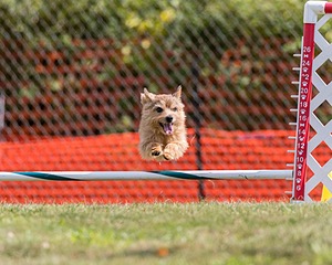 20200819-1044.jpg