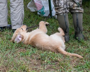 20150913-C-0019.jpg