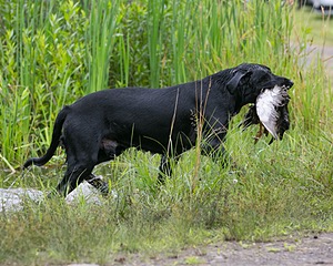 20130713-MHB2-0080.jpg