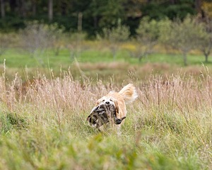 20211009-WCL-0016.jpg