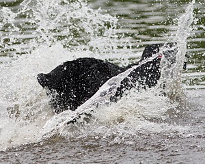 20080601-SRW-0778.jpg