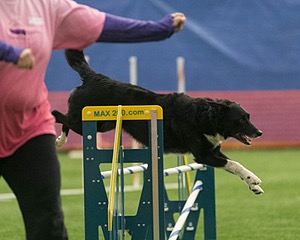 20150321-LEAP-0782.jpg