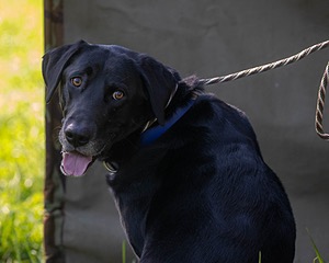 Brant Jackson