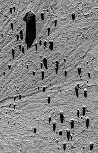 20241024-0130.jpg