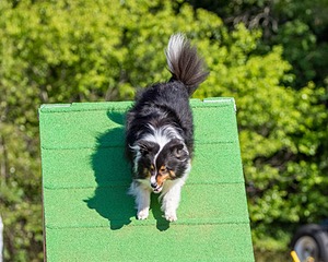 20160619-CCKC-0125.jpg