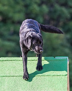 20160618-CCKC-2481.jpg
