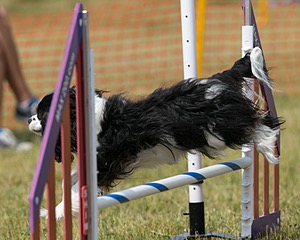 20150612-CCKC-0198.jpg
